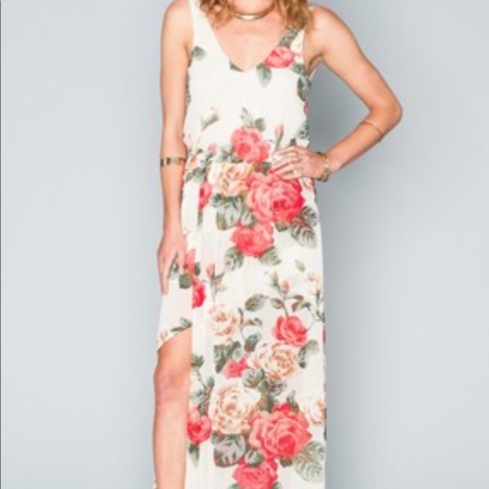 Show me your mumu lady Rose Dress (A2